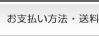 お支払い方法・送料 アダルトDVD通販オーロラプロジェクト