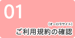 1：ご利用規約の確認