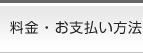 料金・お支払い方法 月額見放題オーロラプロジェクト